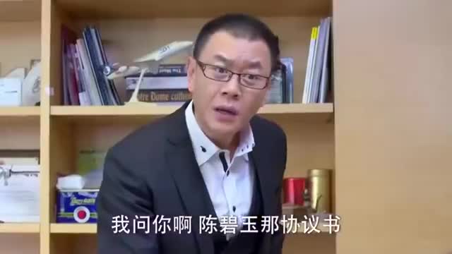 上海崇明婚姻律师专家，守护婚姻正义，专业法律服务领航者