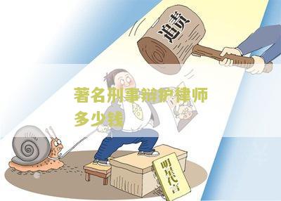 刑事律师辩护费用解析，正义的成本与投入探讨