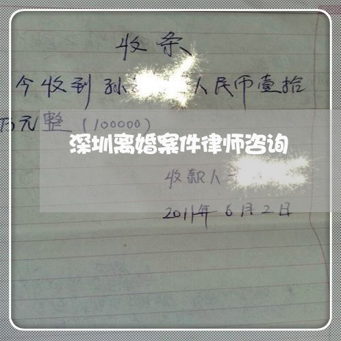 深圳离婚诉讼律师专业解析婚姻法律纠纷疑难案例解析