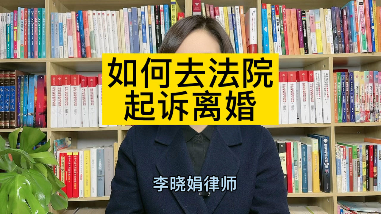 资深离婚诉讼律师，捍卫公正，引领和解之路