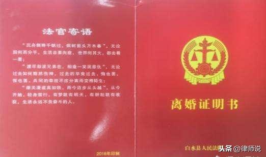 离婚诉讼中律师的角色与职责解析