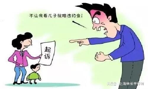 代理诉讼离婚律师的角色与职责解析