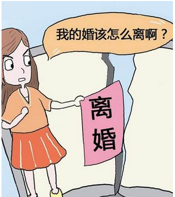 厦门诉讼离婚律师专业咨询与指导