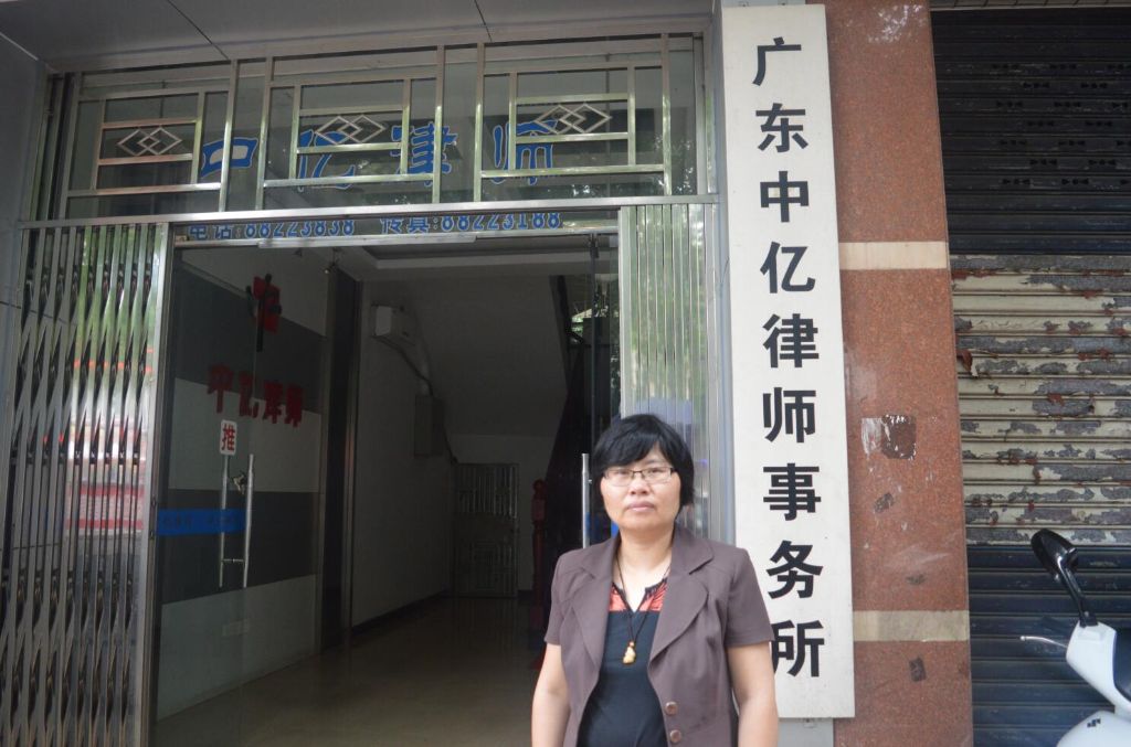 中堂镇离婚诉讼律师，专业法律解析与全方位服务