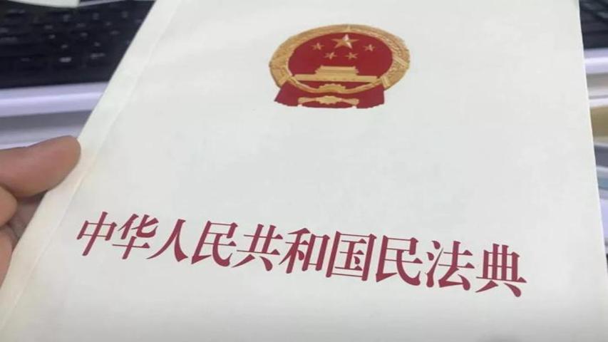 闵行区知名离婚诉讼律师，法律领域的专业明灯