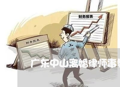 广东中山离婚诉讼律师，专业解读与全方位法律服务