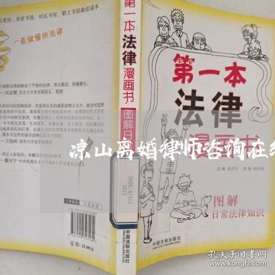 昭通离婚诉讼律师专业团队解析与法律服务支持