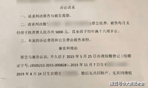 诉讼离婚律师咨询价格表详解及相关解析