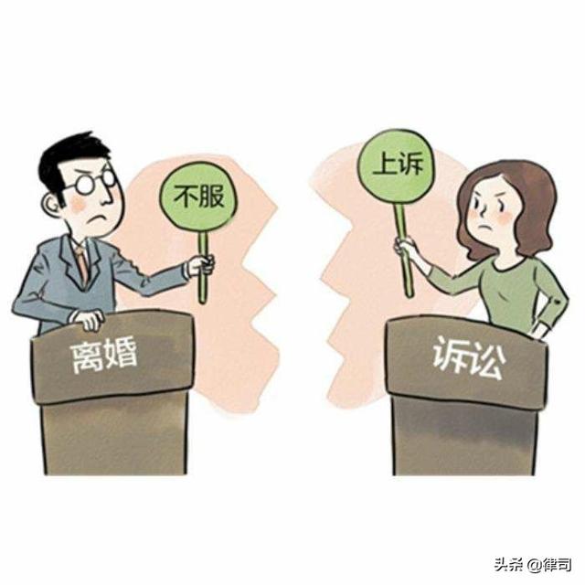 离婚诉讼中律师的角色与必要性探讨