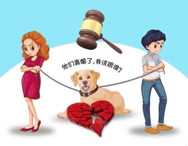 柯城离婚案诉讼律师，解析法律疑难，捍卫公正之路