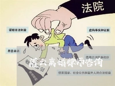 泗阳离婚案诉讼律师专业服务，深度解析与探讨