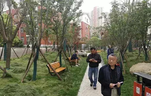 武汉市诉讼离婚律师法律服务详解及地址指南