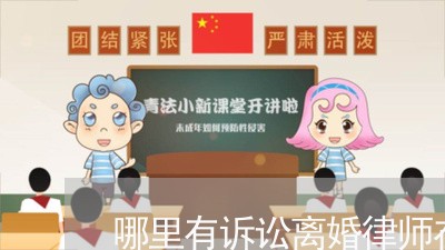 离婚诉讼中的律师角色，是否必先寻求法律咨询？