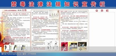 全面解析与指导，律师代理离婚诉讼流程