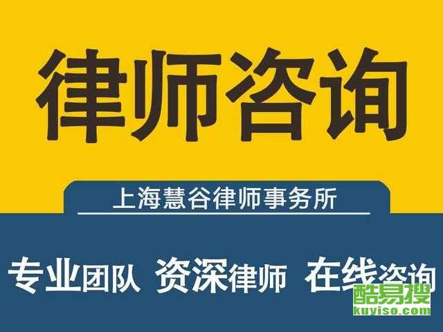 上海市诉讼离婚律师咨询，专业指引与解读