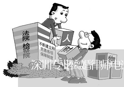 惠州诉讼离婚律师价格表详解及相关解析