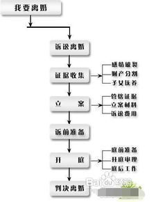 非诉讼离婚律师协助流程解析