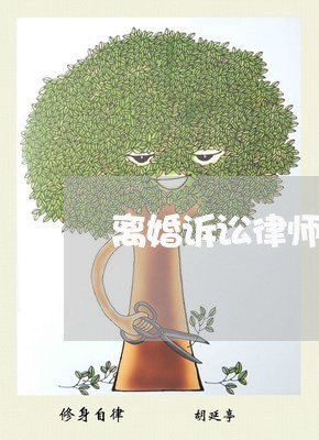 惠州离婚律师诉讼，专业解析及应对策略