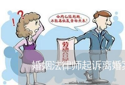 离婚诉讼中律师的角色深度解析与探讨