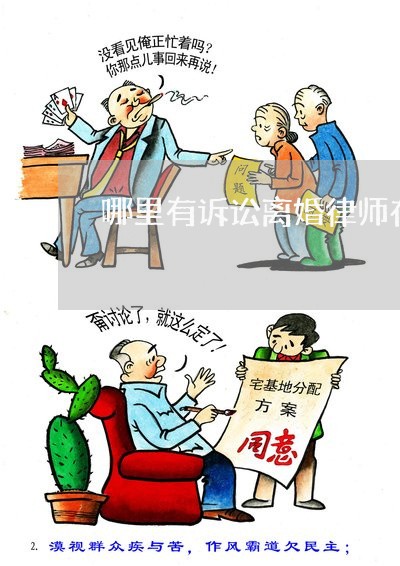 离婚诉讼中的律师角色与必备知识解析