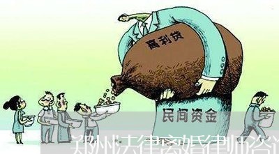 郑州律师在离婚诉讼中的专业角色与关键作用