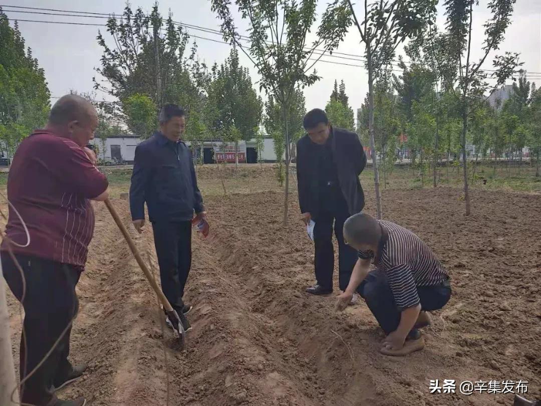 辛集专业诉讼离婚律师法律服务指南