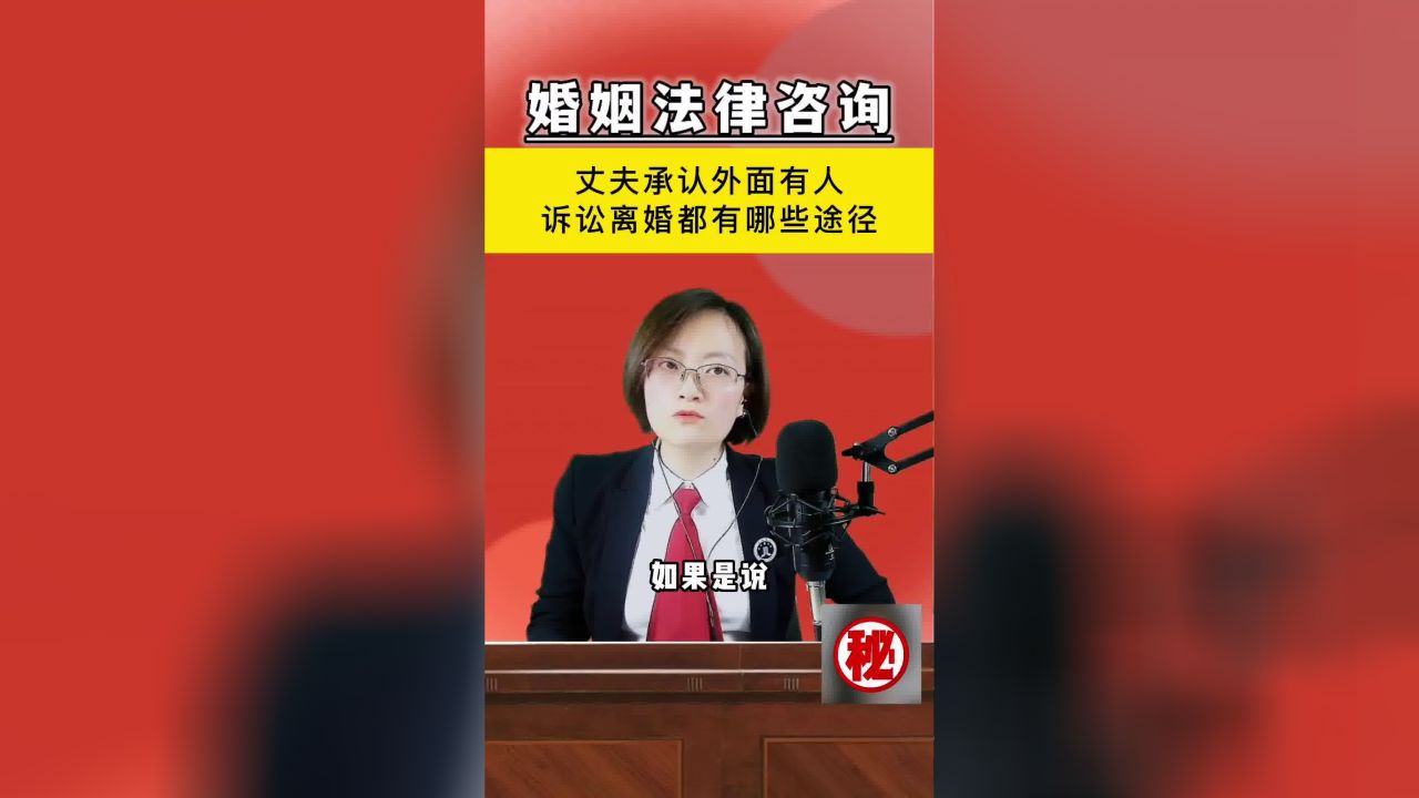 湖南诉讼离婚律师角色及其重要性解析