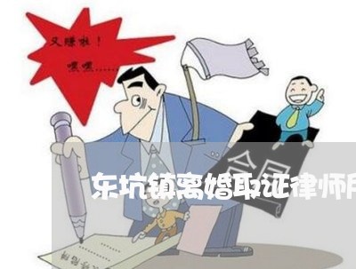 东坑镇专业离婚诉讼律师解析法律疑难，助力人生转折守护计划