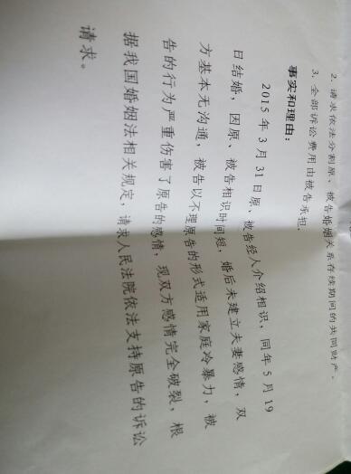 离婚诉讼中律师的角色与价值，诉状撰写与法律支持解析