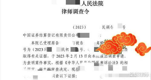 福清离婚诉讼官司律师解析与应对策略专业指南