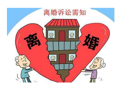 全权委托律师诉讼离婚，全面解析及应对建议