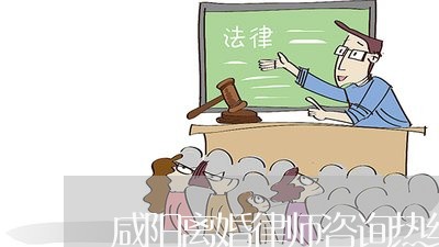 专业离婚律师咨询，诉讼办理与权益保障指南