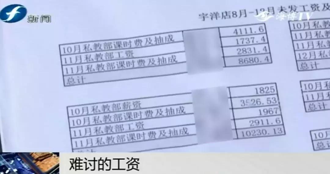 离婚诉讼律师提成比例深度探究与解析