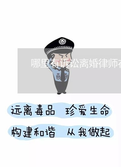 专业守护公正，顶尖诉讼离婚律师为你解析法律之路