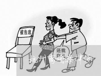 临安区离婚诉讼律师专业解读与深度剖析