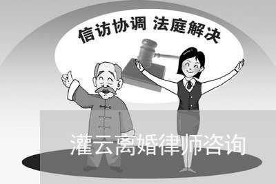 云龙离婚诉讼律师解析，法律要点与应对策略指南