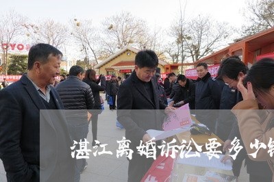 湛江离婚诉讼律师专业服务，深度解析与精准解读