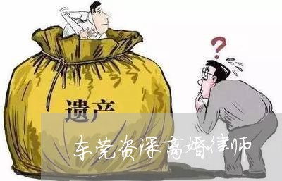 莞城离婚诉讼律师，专业法律服务解决家庭纷争之道