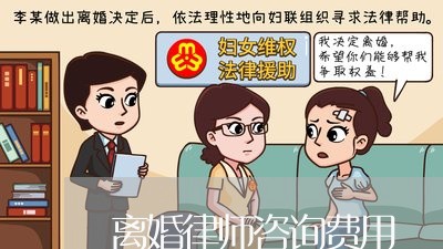 诉讼离婚律师的职责与角色解析