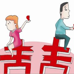 律师代理离婚诉讼全面解析与指导手册