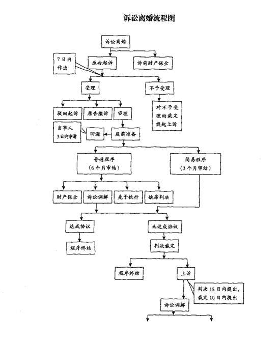 离婚诉讼流程，律师协助下的详细步骤解析