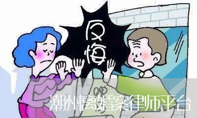 揭阳离婚诉讼律师加盟，专业法律服务的新机遇与挑战