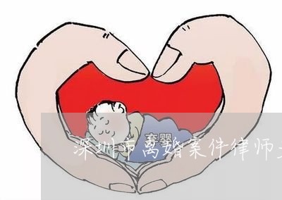 深圳诉讼离婚律师规定详解与实际应用指南