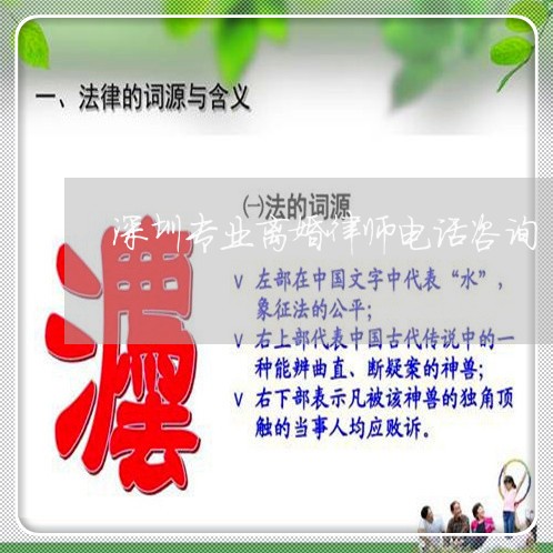 深圳离婚诉讼律师专业解读与指导