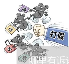 公益诉讼离婚律师需求深度解析