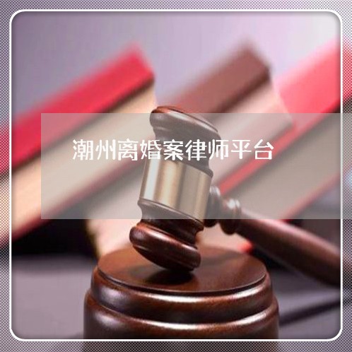 揭东离婚诉讼平台律师，专业引领，全方位解决婚姻法律问题