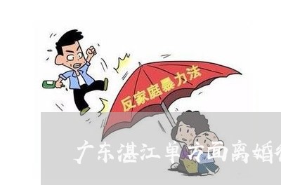 湛江离婚诉讼律师专业团队解析与法律服务详解