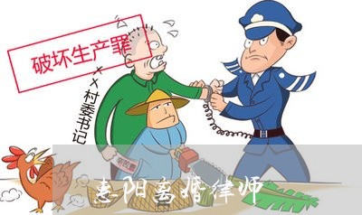 惠州诉讼离婚律师推荐，专业能力与信誉并重之选！