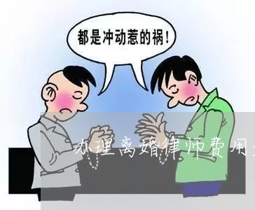 景洪诉讼离婚律师费用解析