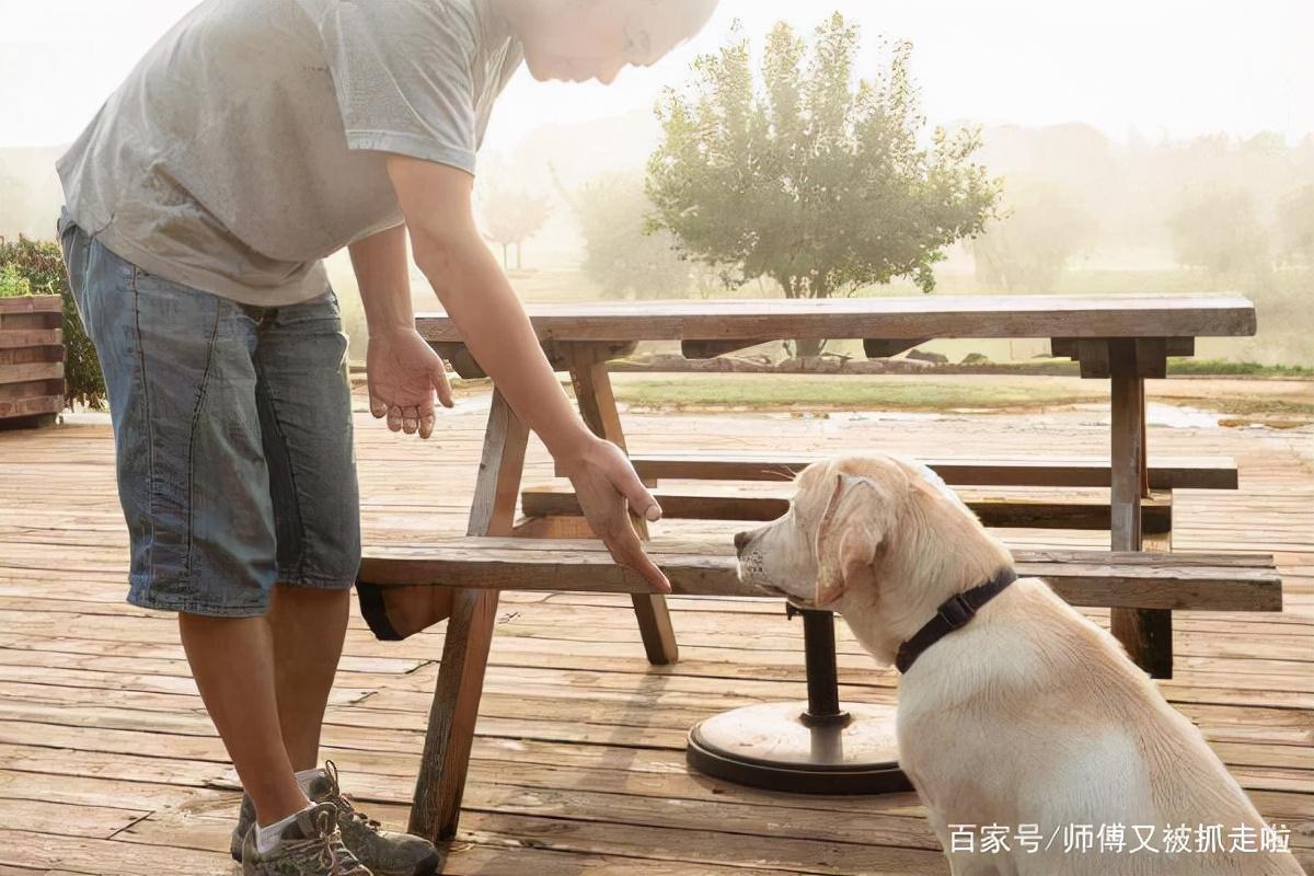 海安市离婚诉讼律师专业法律服务热线，为您的婚姻问题提供解决方案